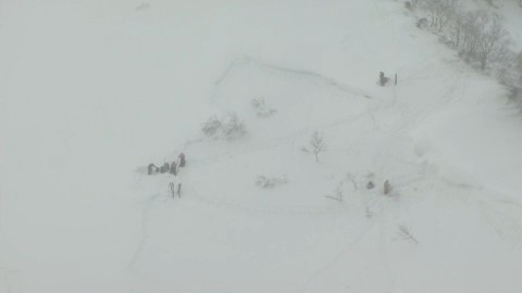 雪崩があった現場の調査(2024年3月)