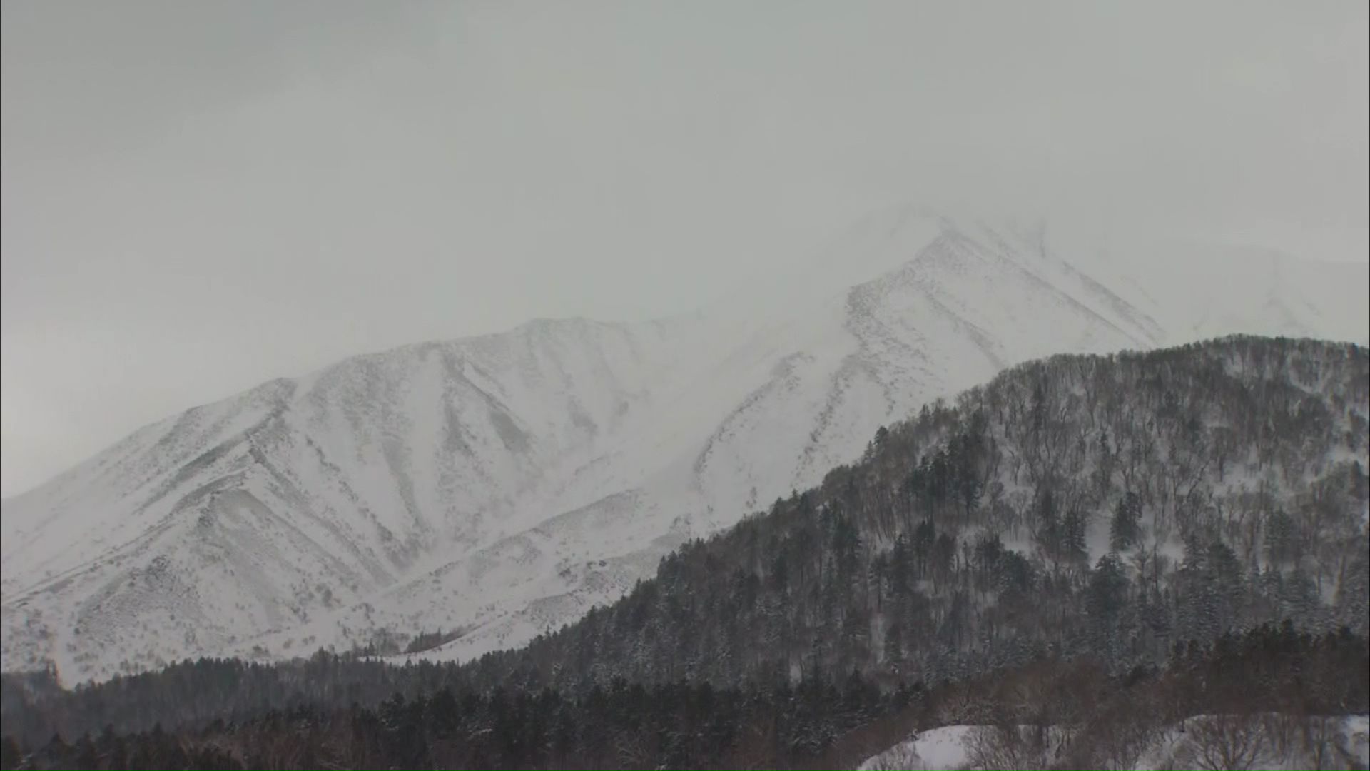 雪崩事故が発生した利尻山（2024年3月）
