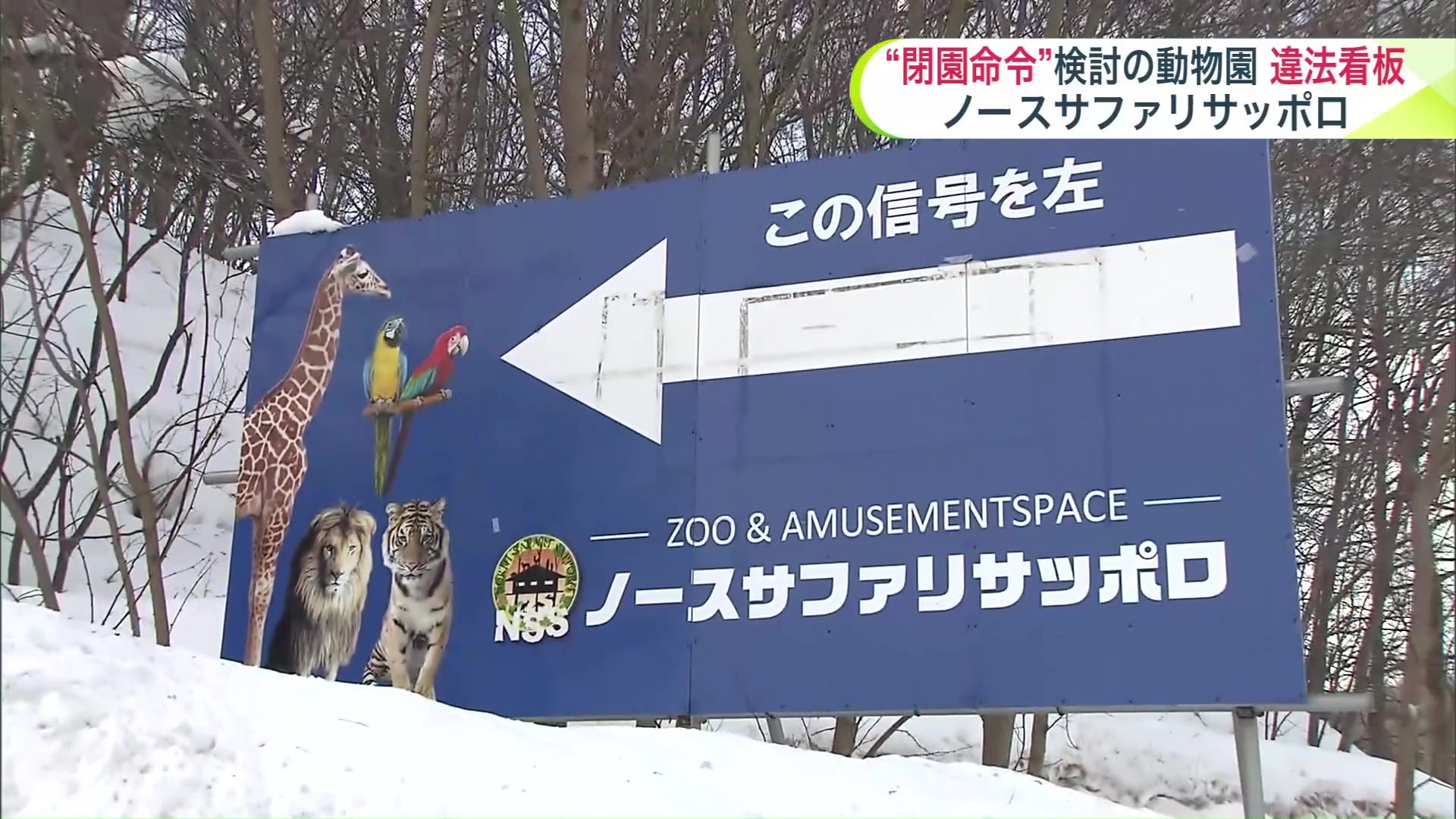 違法に設置された看板