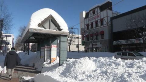市内の路線バスは終日運休