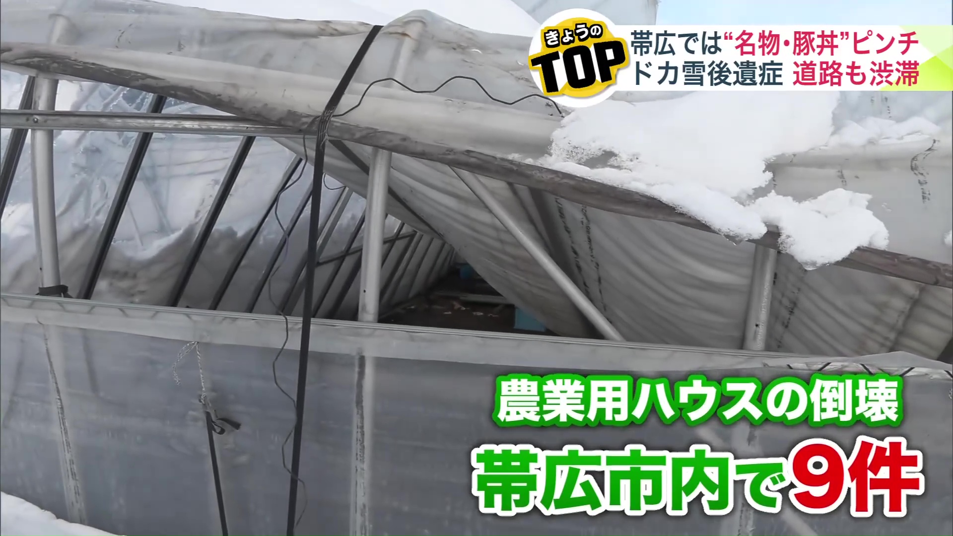 農業用ハウスの倒壊