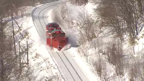 宗谷ラッセル(資料)