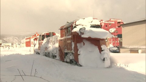 宗谷ラッセル(資料)