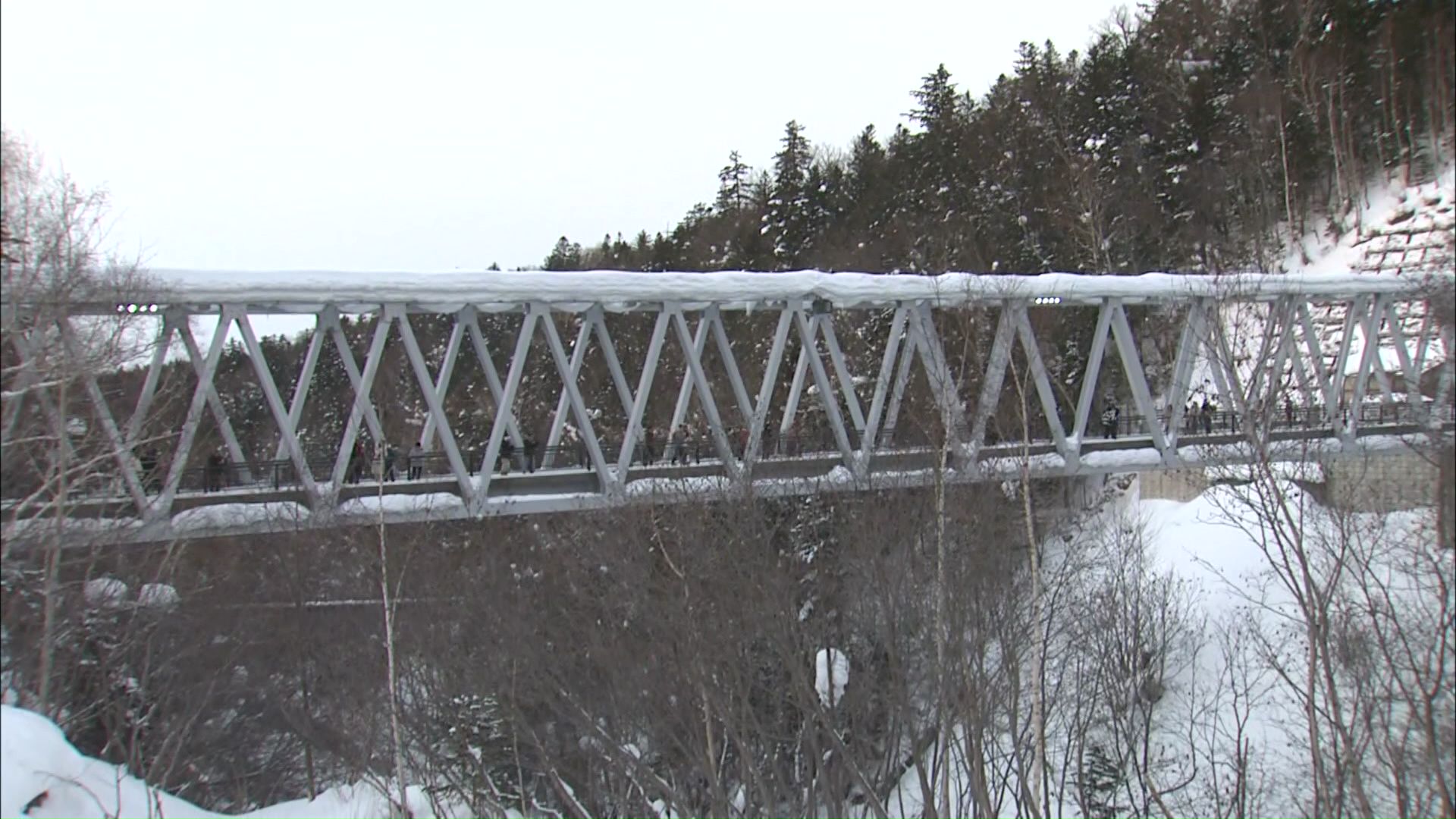 男性が発見された現場付近(美瑛町)