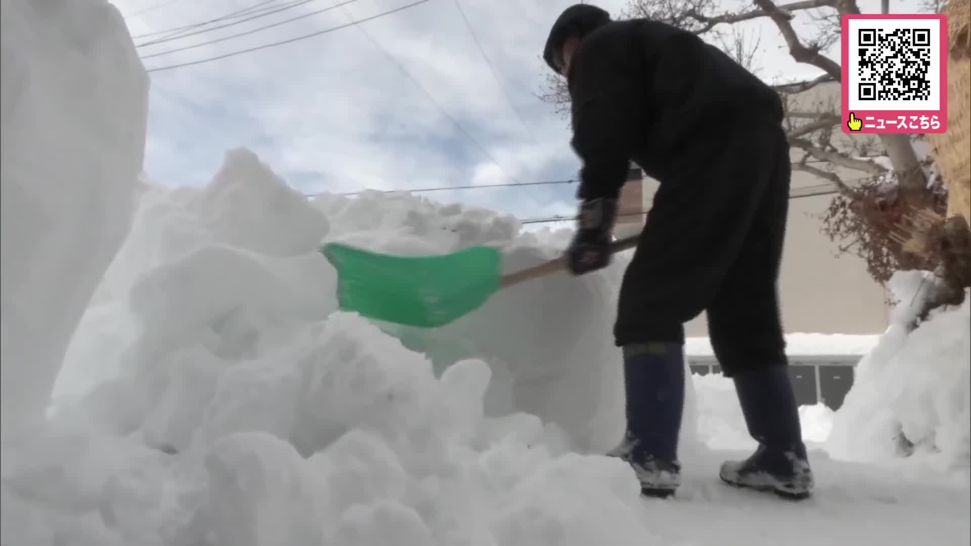 北海道の雪 0021.jpg