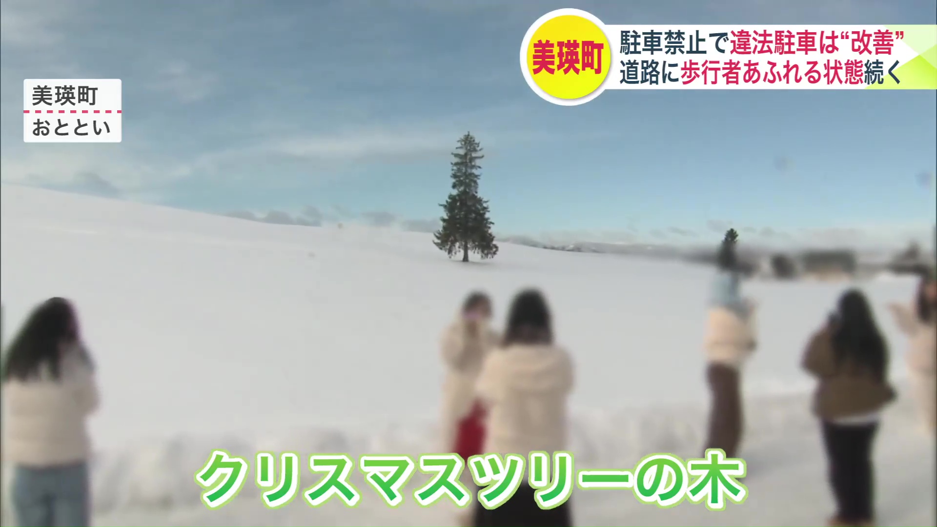 人気の観光スポット「クリスマスツリーの木」