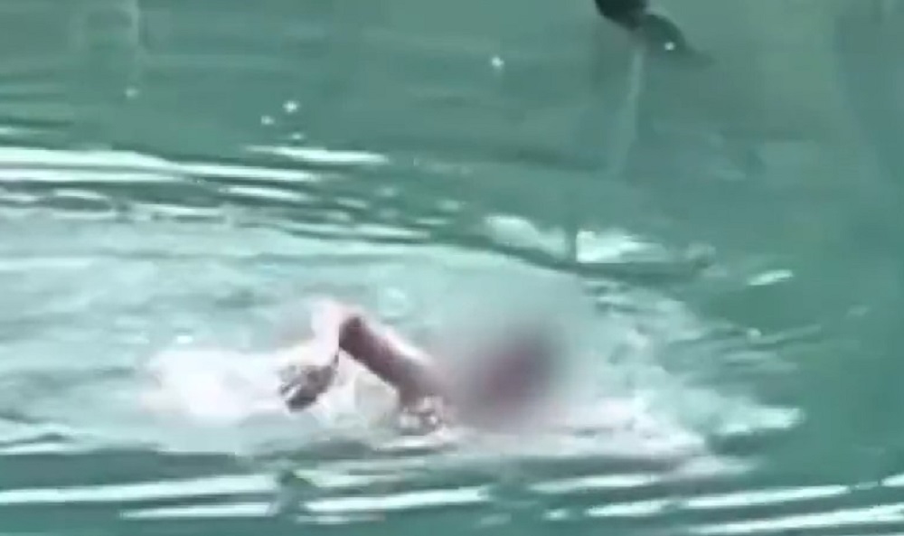 白金青い池で泳ぐ外国人とみられる男性(撮影:谷トモさん)