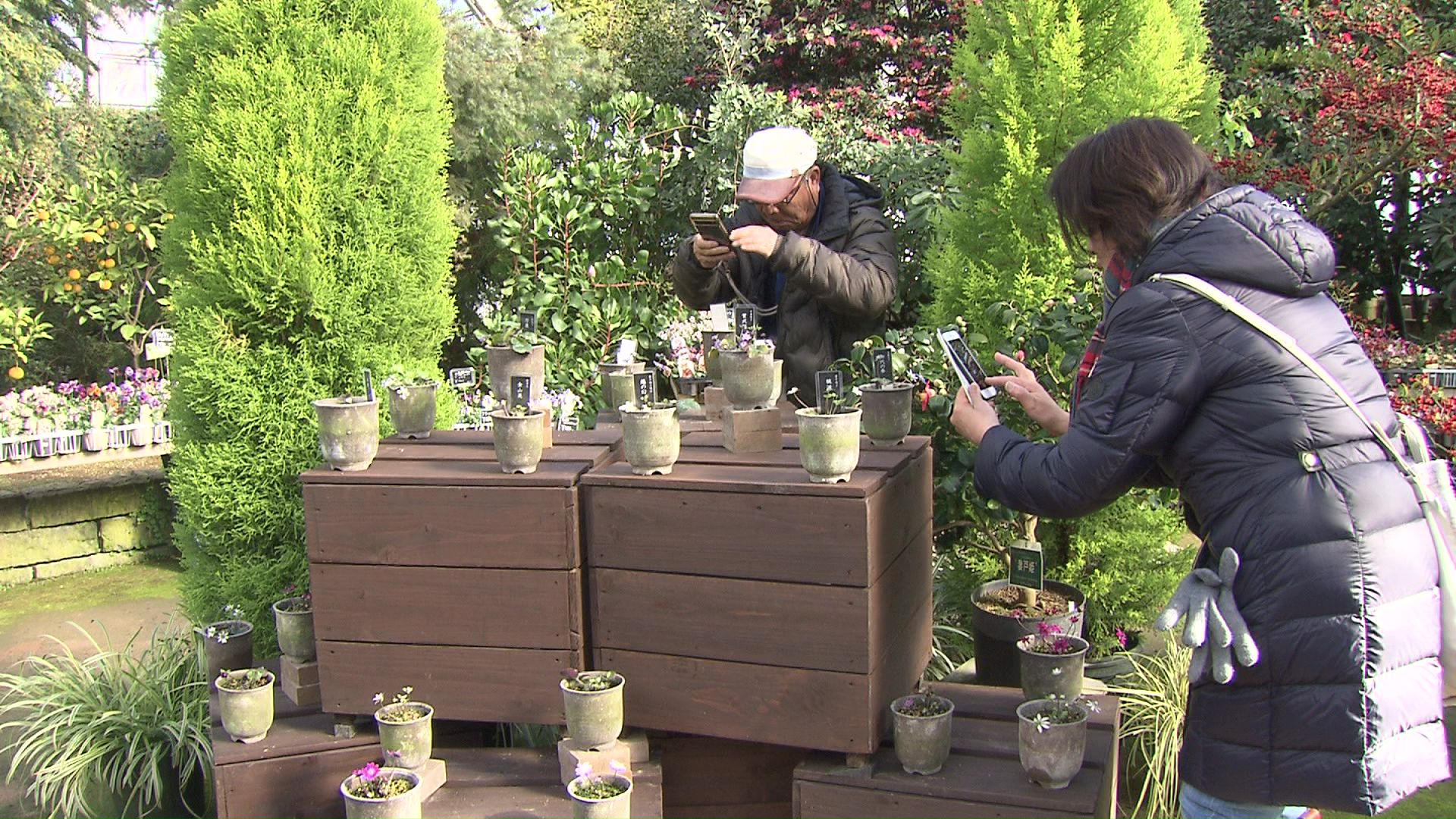 花の写真を撮る来場者