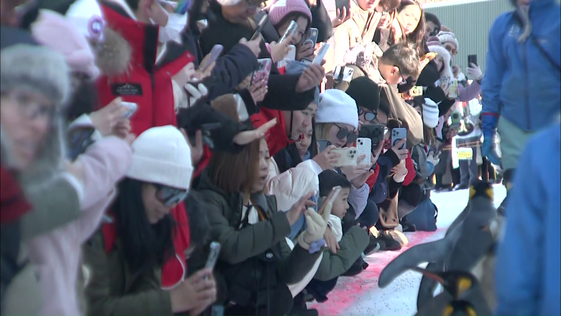外国人観光客の増加