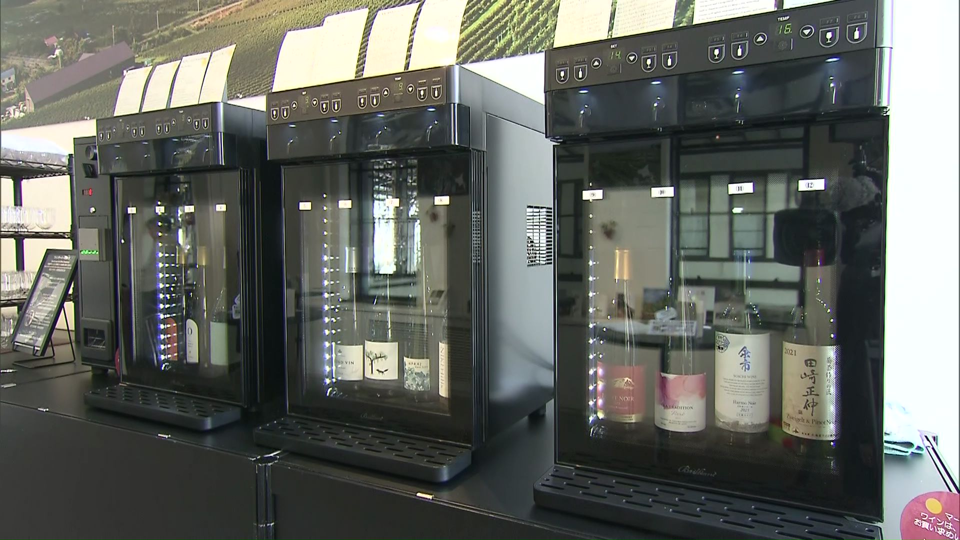 12種類のワインを飲み比べられる