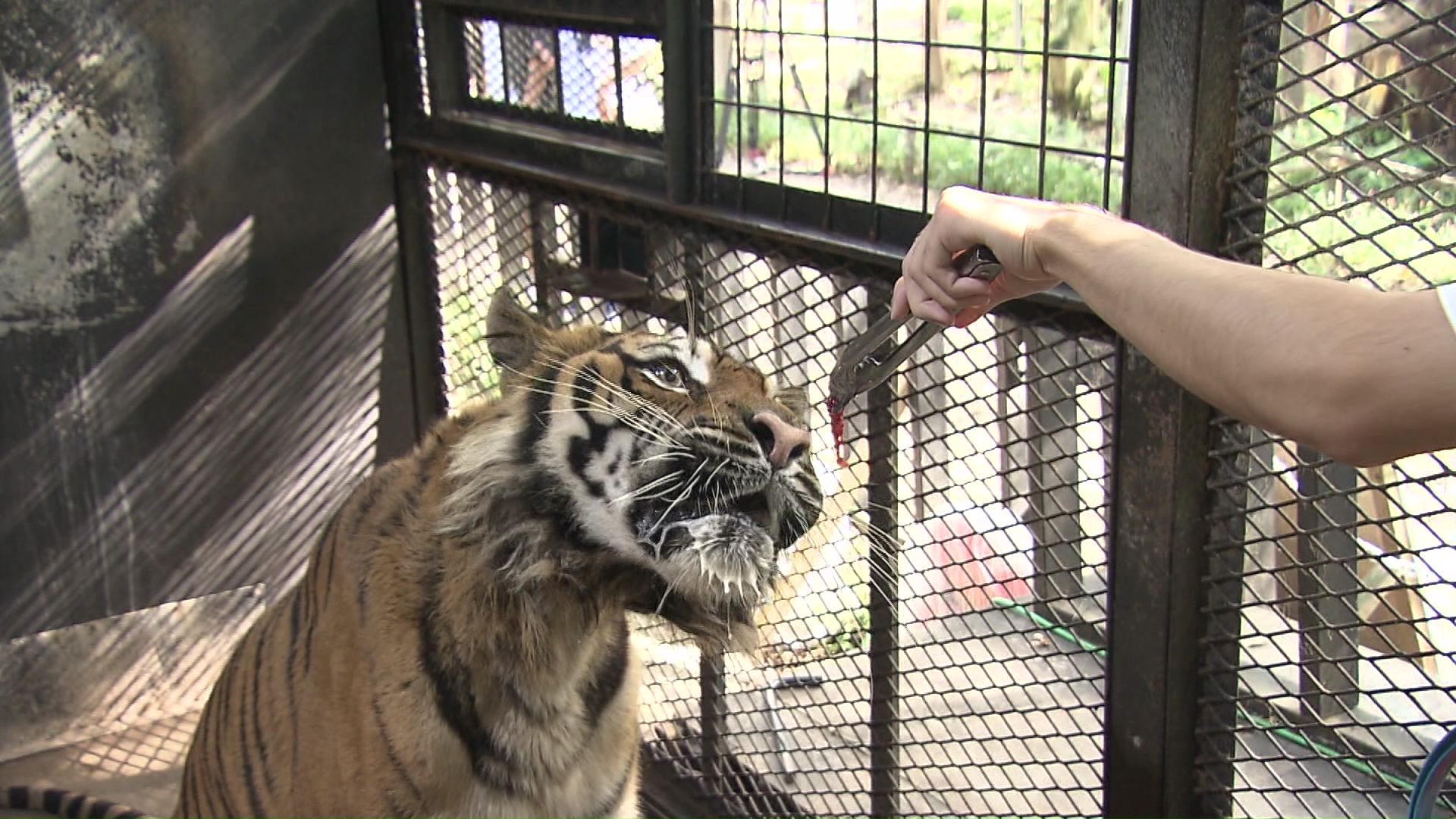 ノースサファリサッポロ