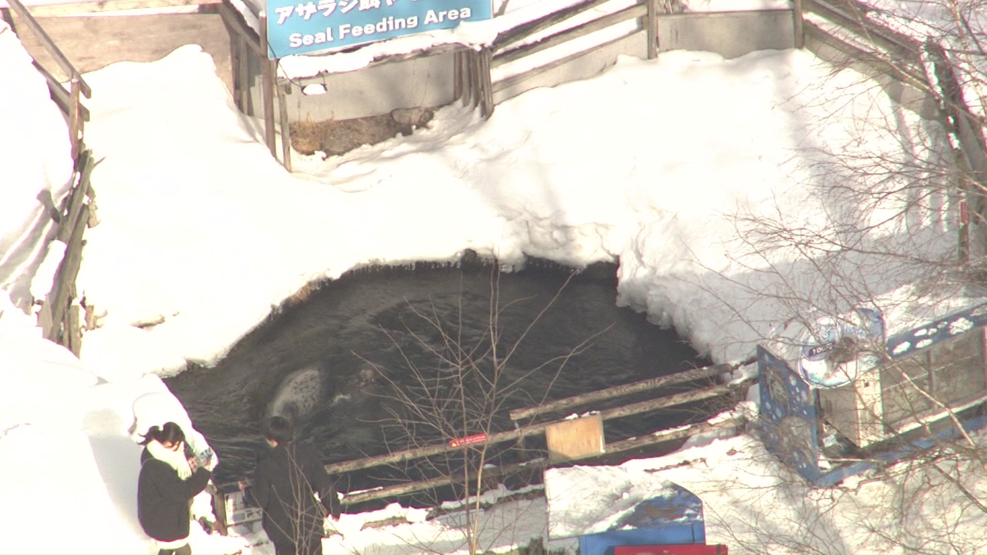 2月15日のノースサファリサッポロの様子