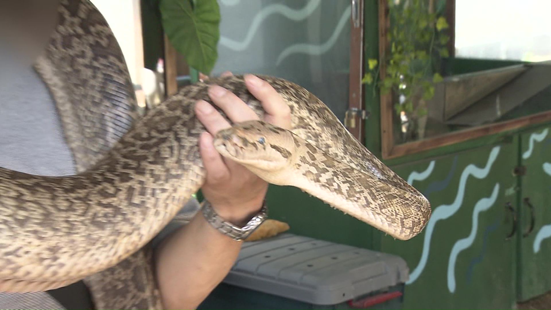 飼育動物は150種類以上・違法な建物は156棟