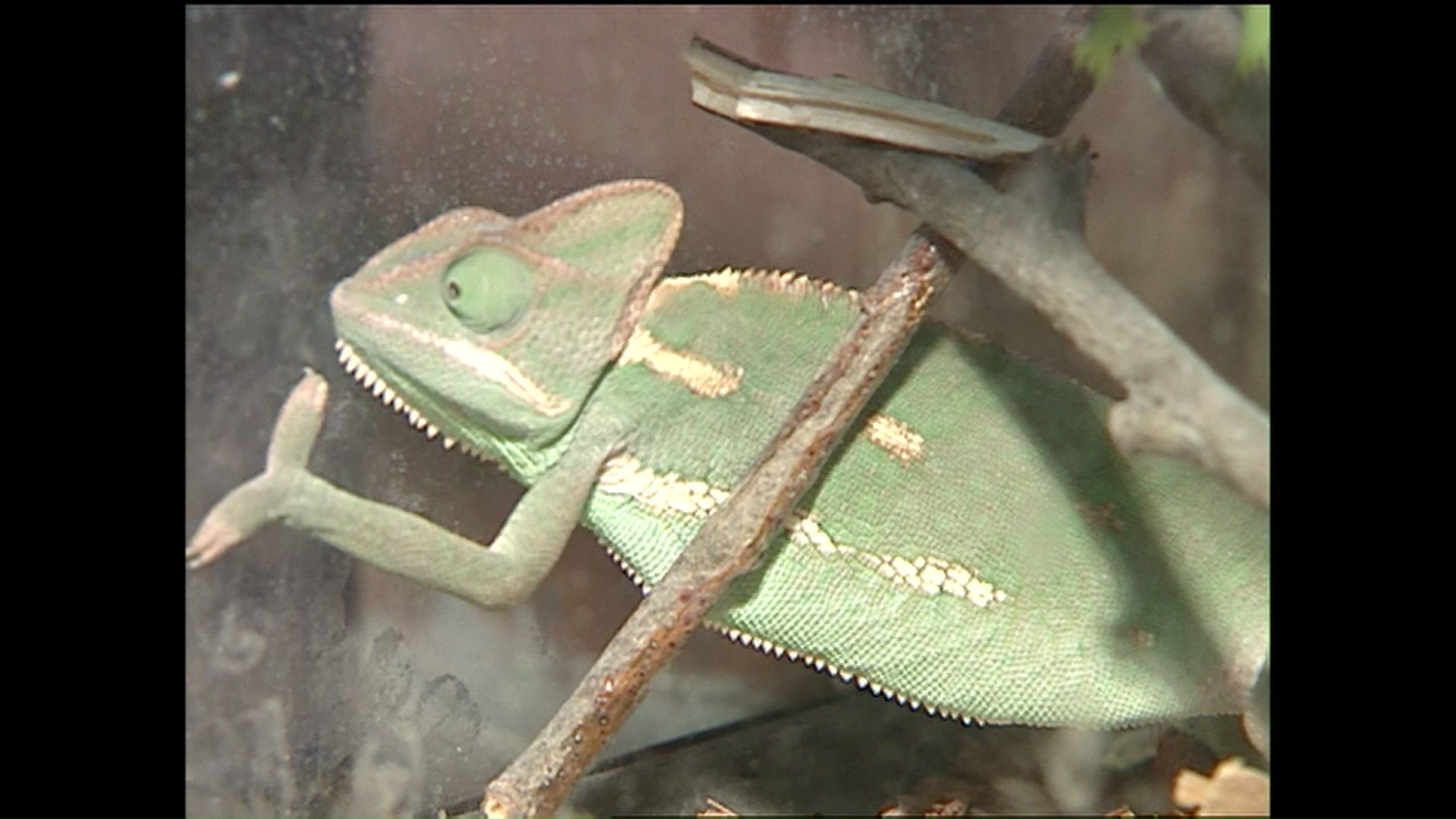 オープンした年の園内の様子