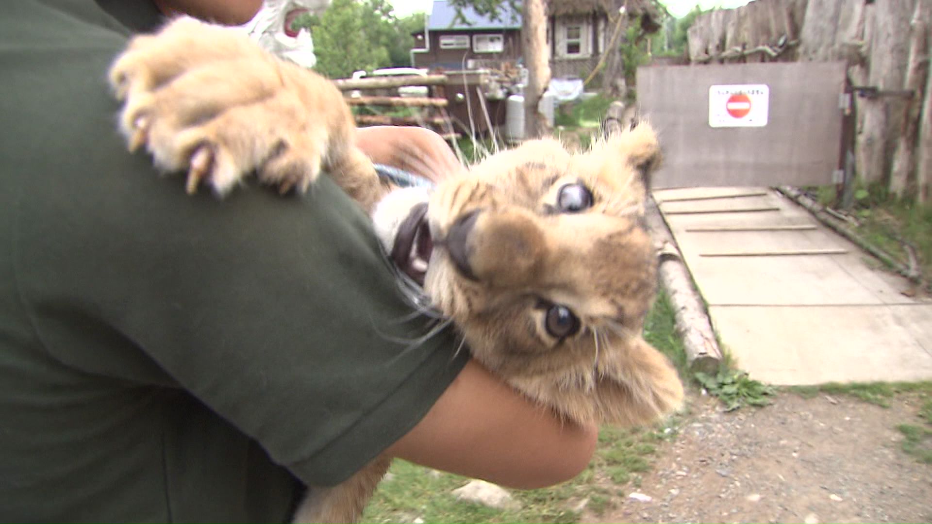 撤去計画を提出したノースサファリサッポロ