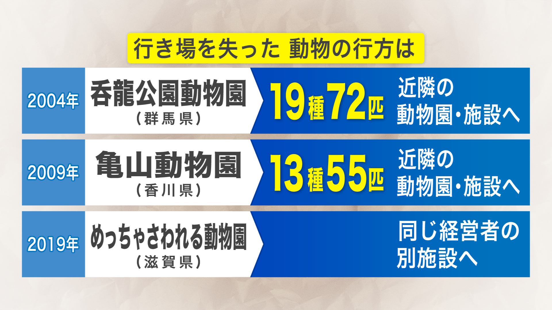 行き場を失った動物たちの行方は…