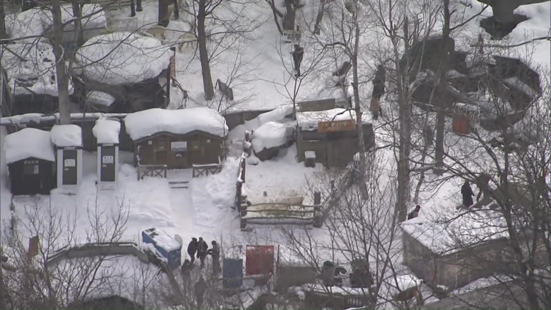 ノースサファリサッポロ 撤去計画に具体的な記述なし…