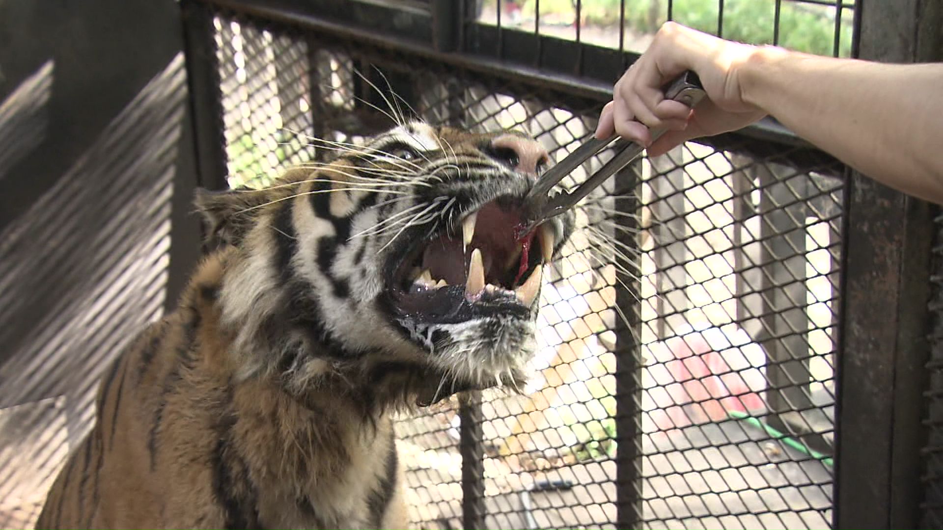計画書には動物の移転先などの記載なし
