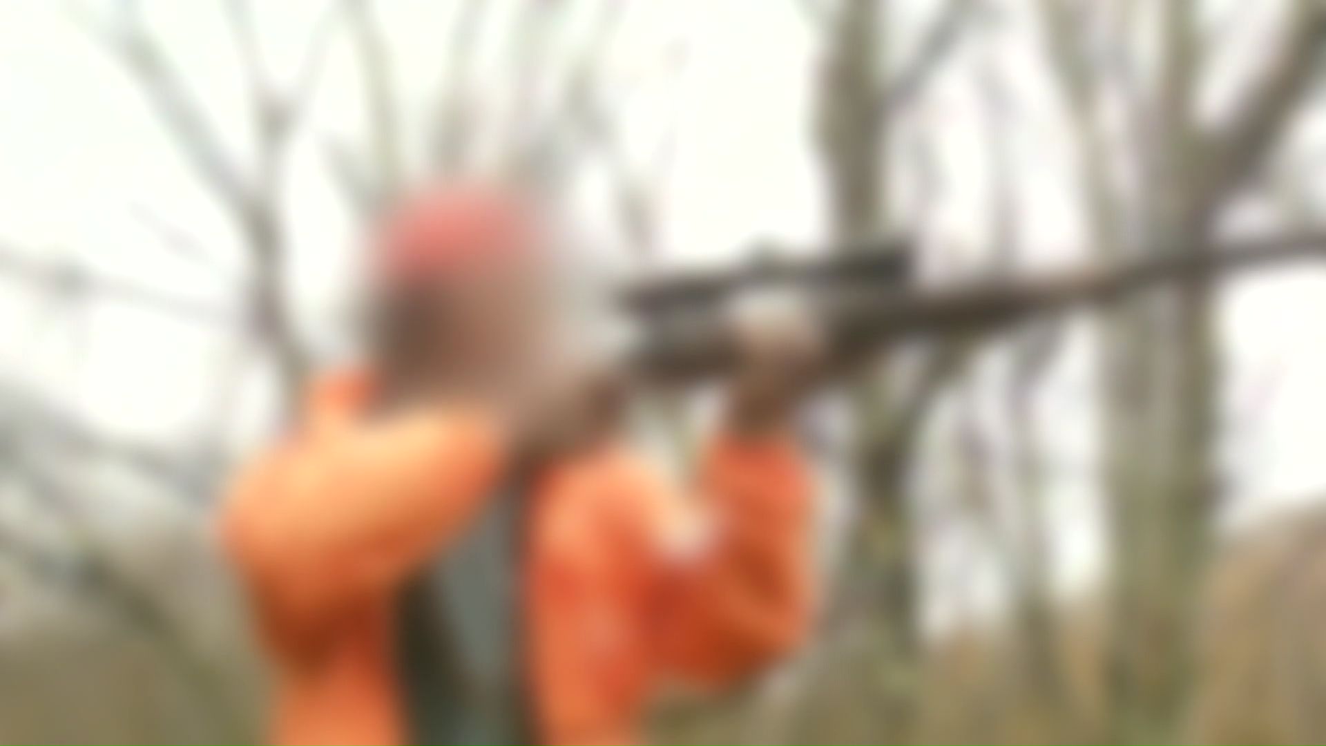 ハンターの負担軽減も図られる