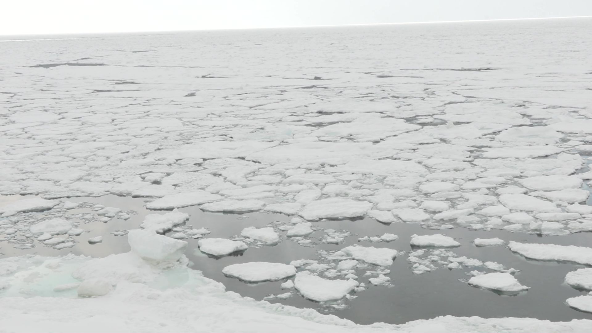 事故があった沖合
