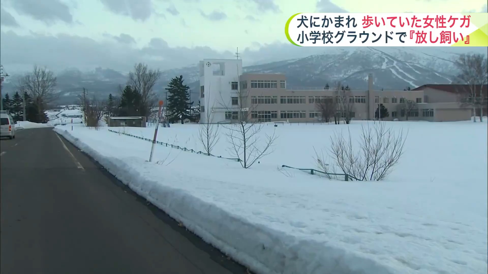 女性がかまれた現場付近