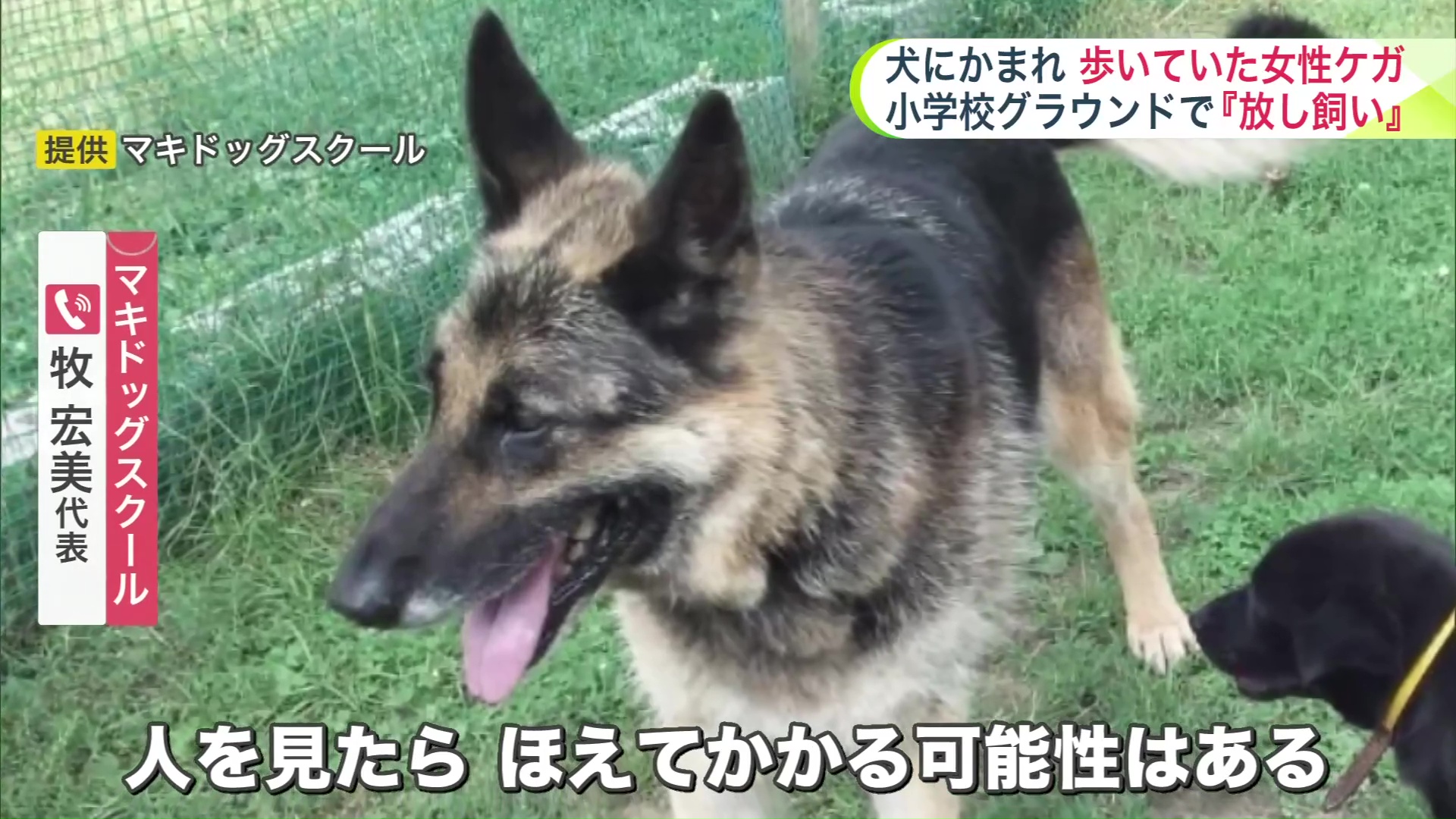 提供 マキドッグスクール