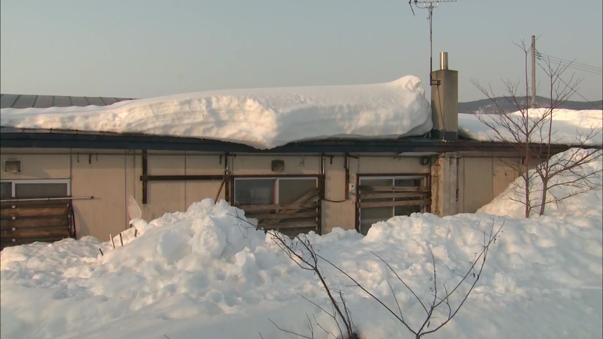 遺体がみつかった現場