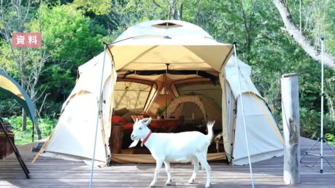 ノースサファリサッポロ(資料)