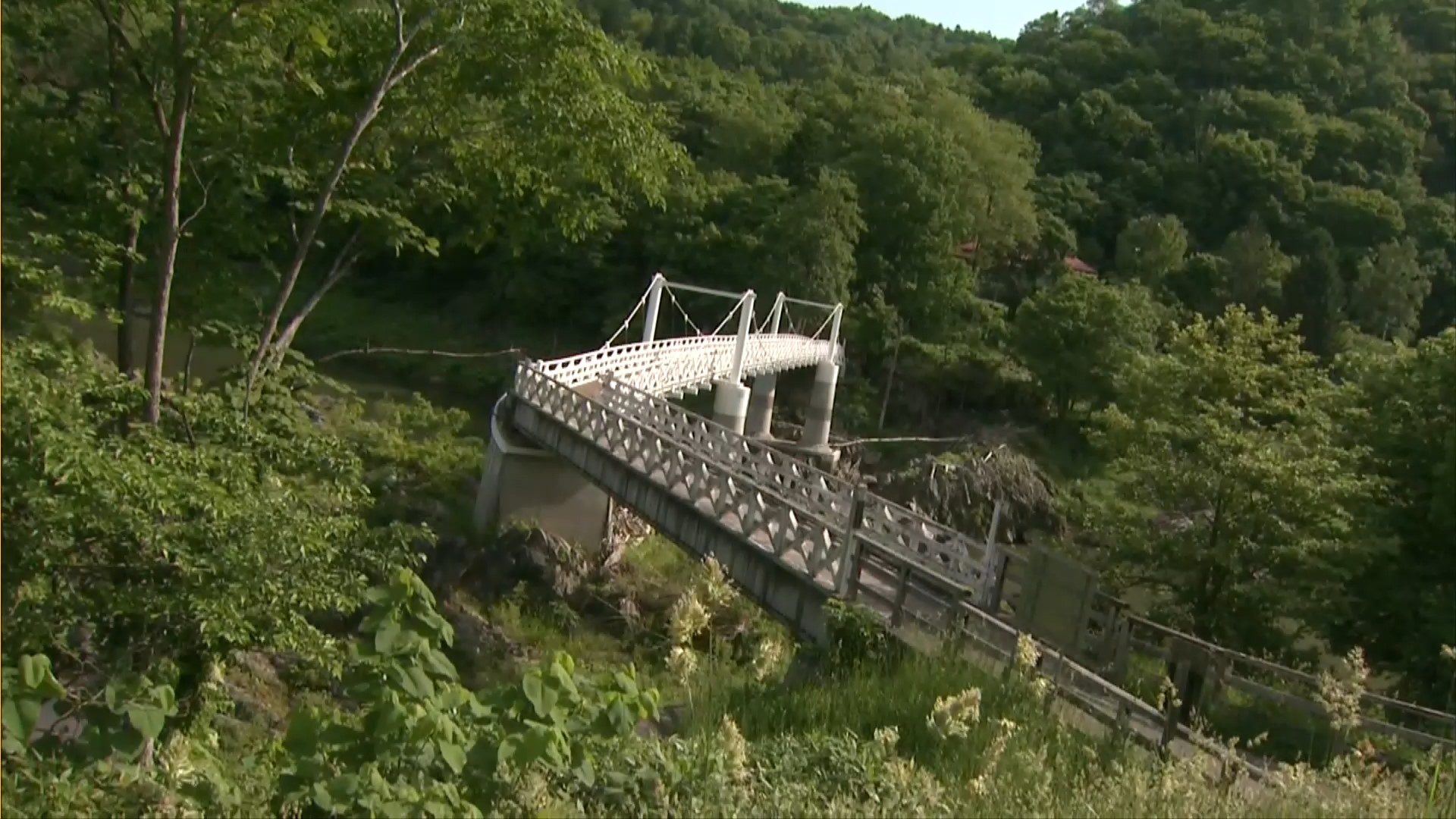 殺害現場の橋