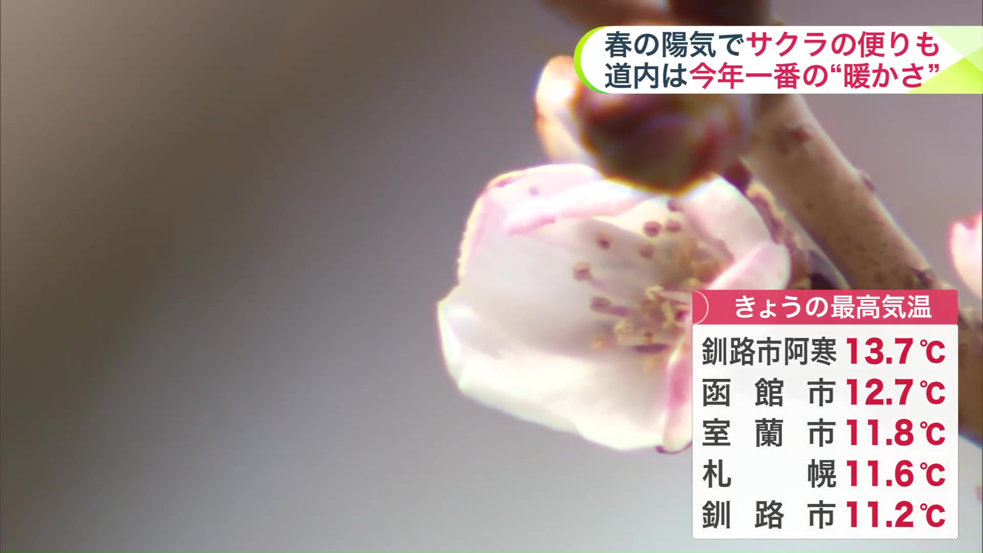 きょうの最高気温