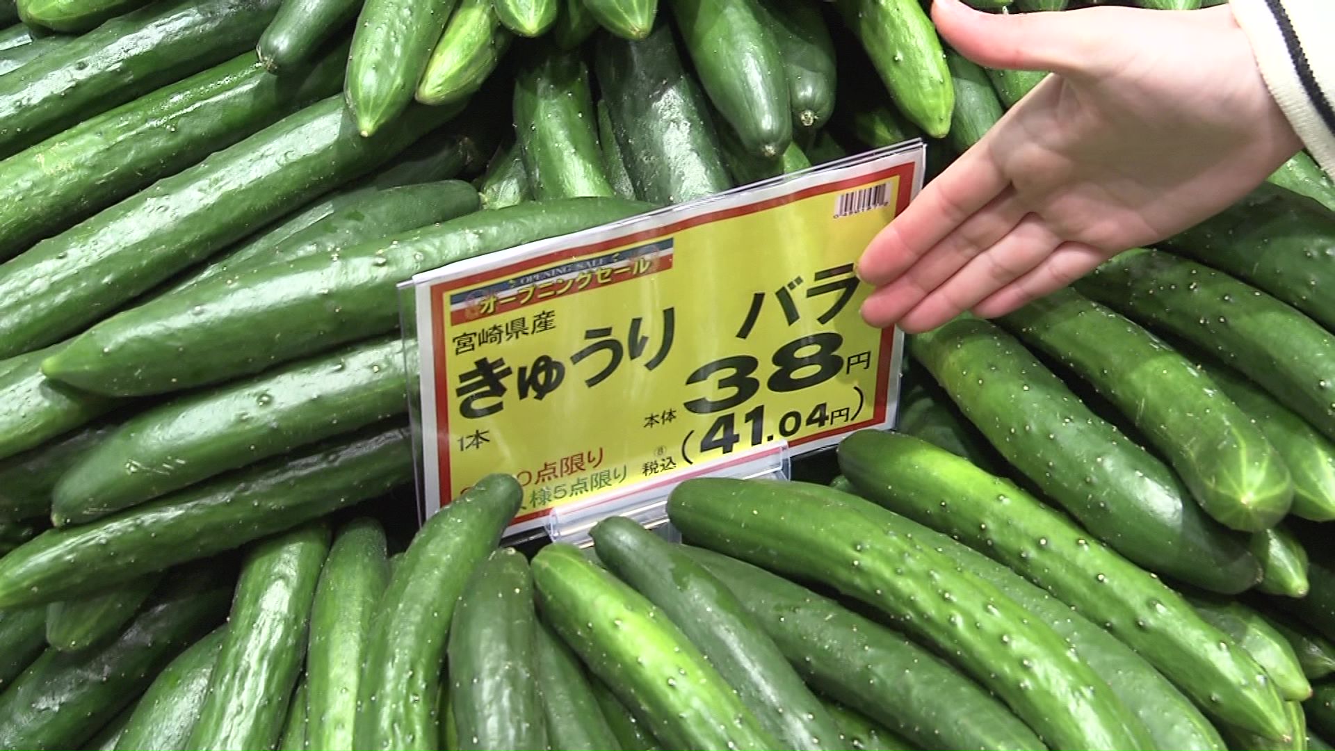 キュウリ1本41円