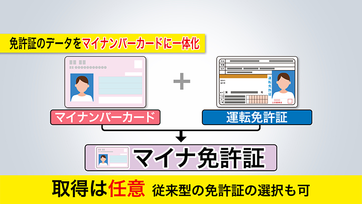 マイナンバーカードと運転免許証が一体化した「マイナ免許証」