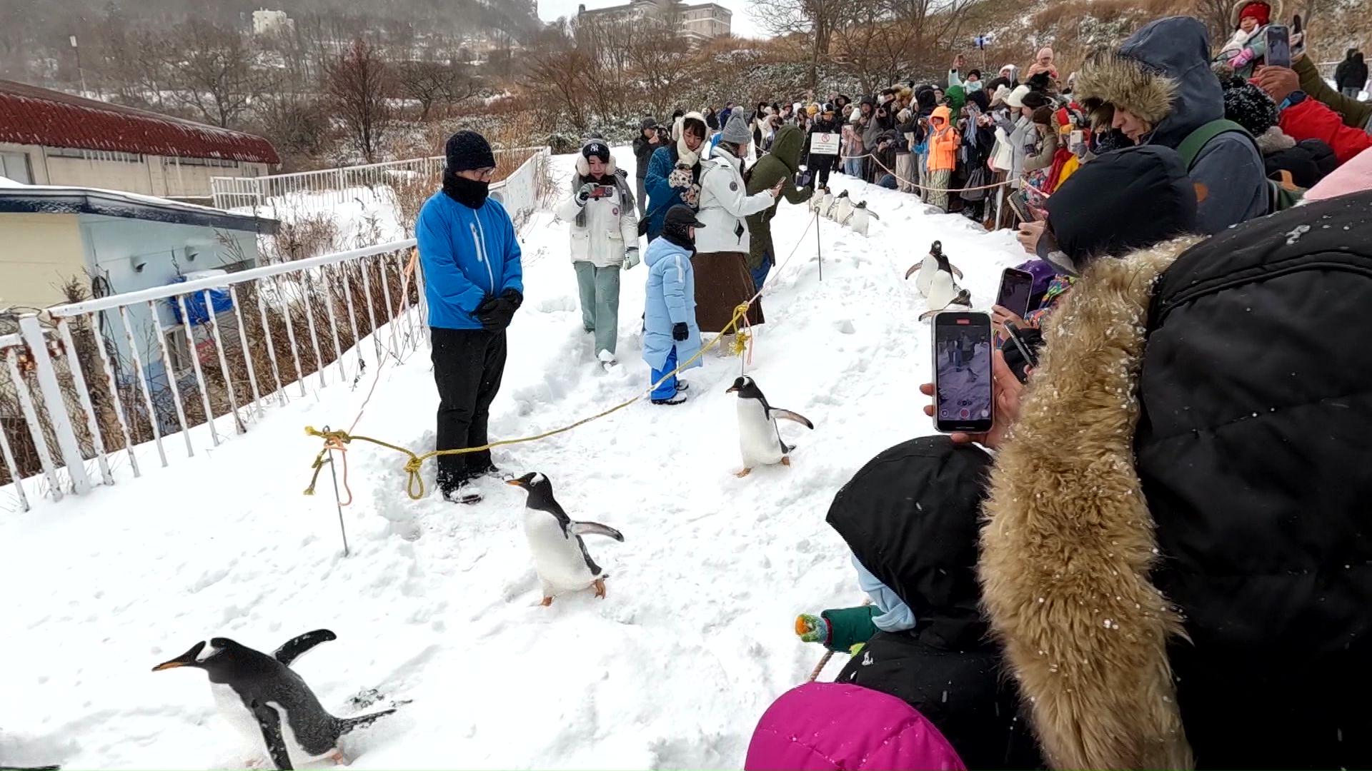 おたる水族館は国内外の観光客が訪れる人気スポット