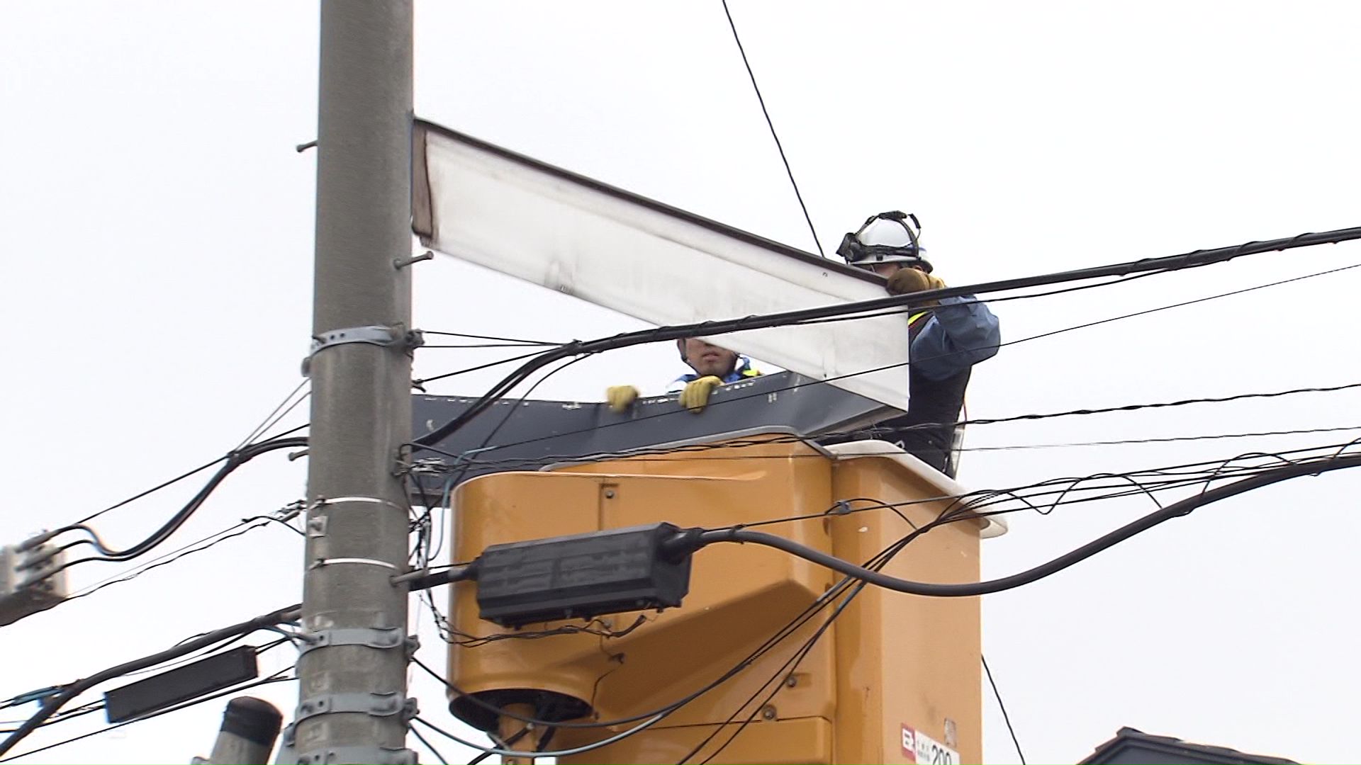 回収作業のようす