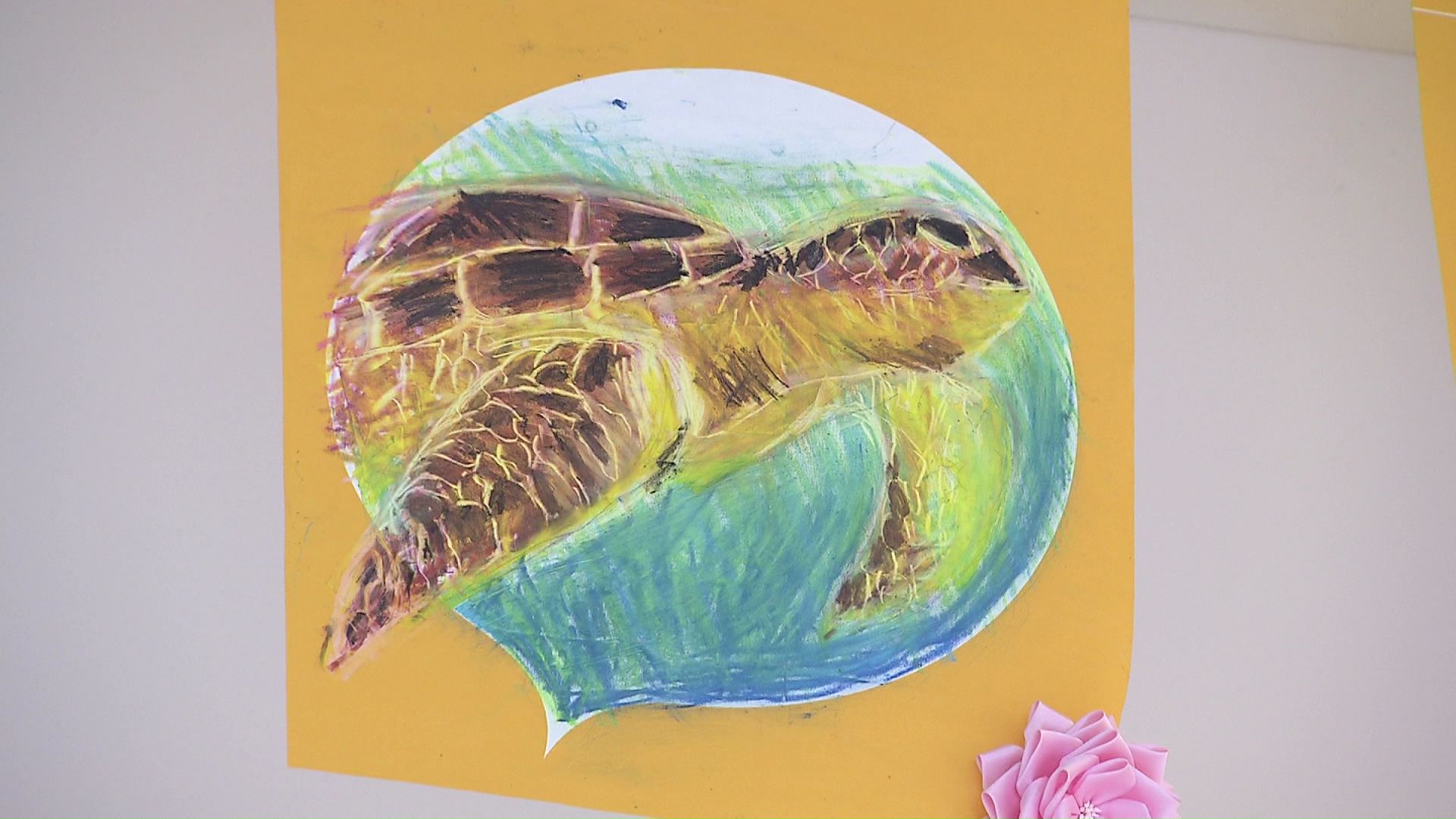 運上実來さんの描いたウミガメ