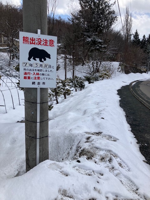 クマの足跡が見つかり注意を呼び掛ける網走市（提供:網走市）