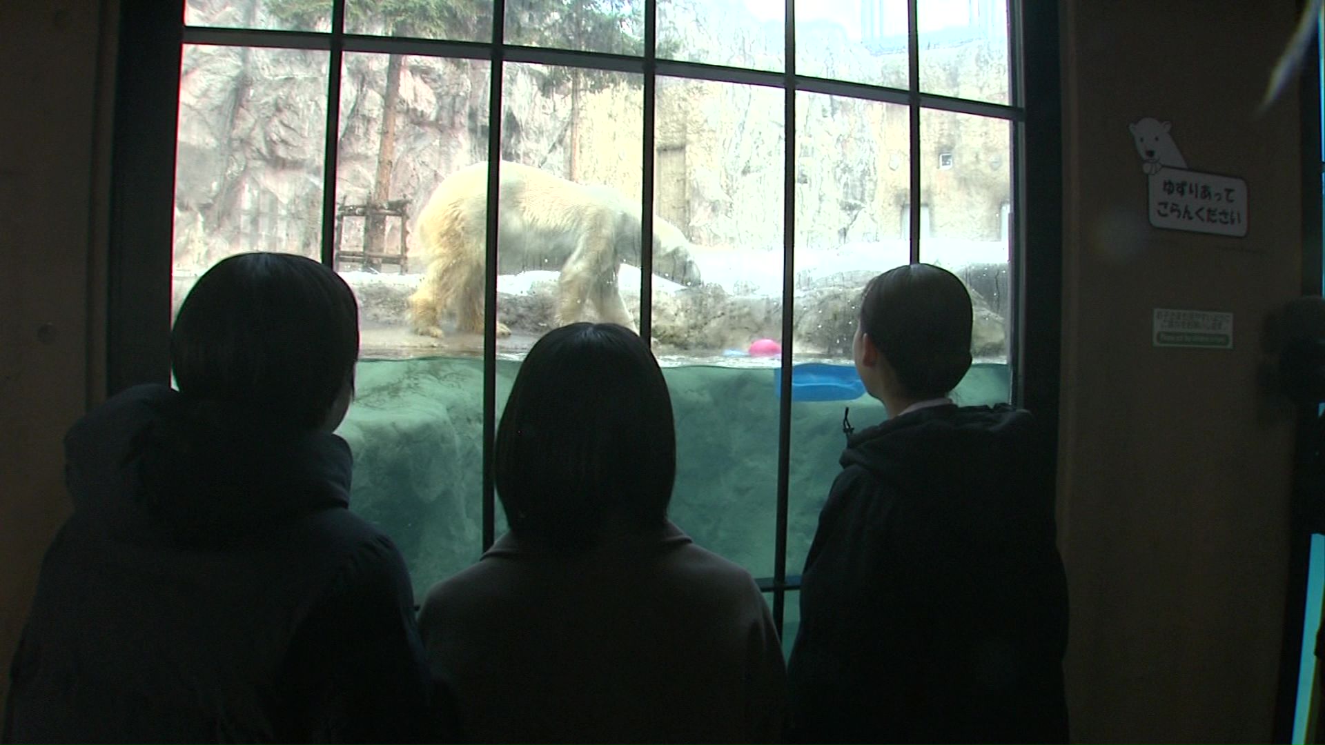 旭山動物園にて研修