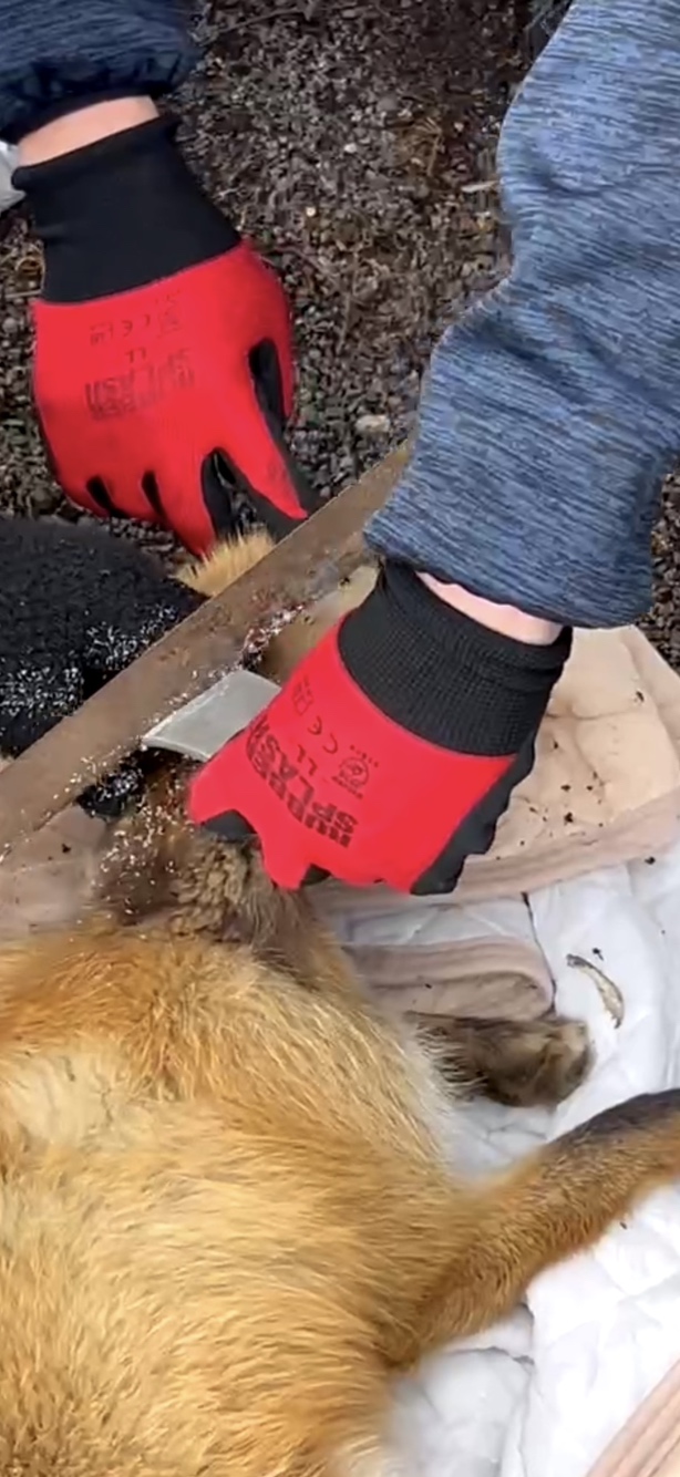 パイプを2か所から切断(提供 中標津ぷろてくと)