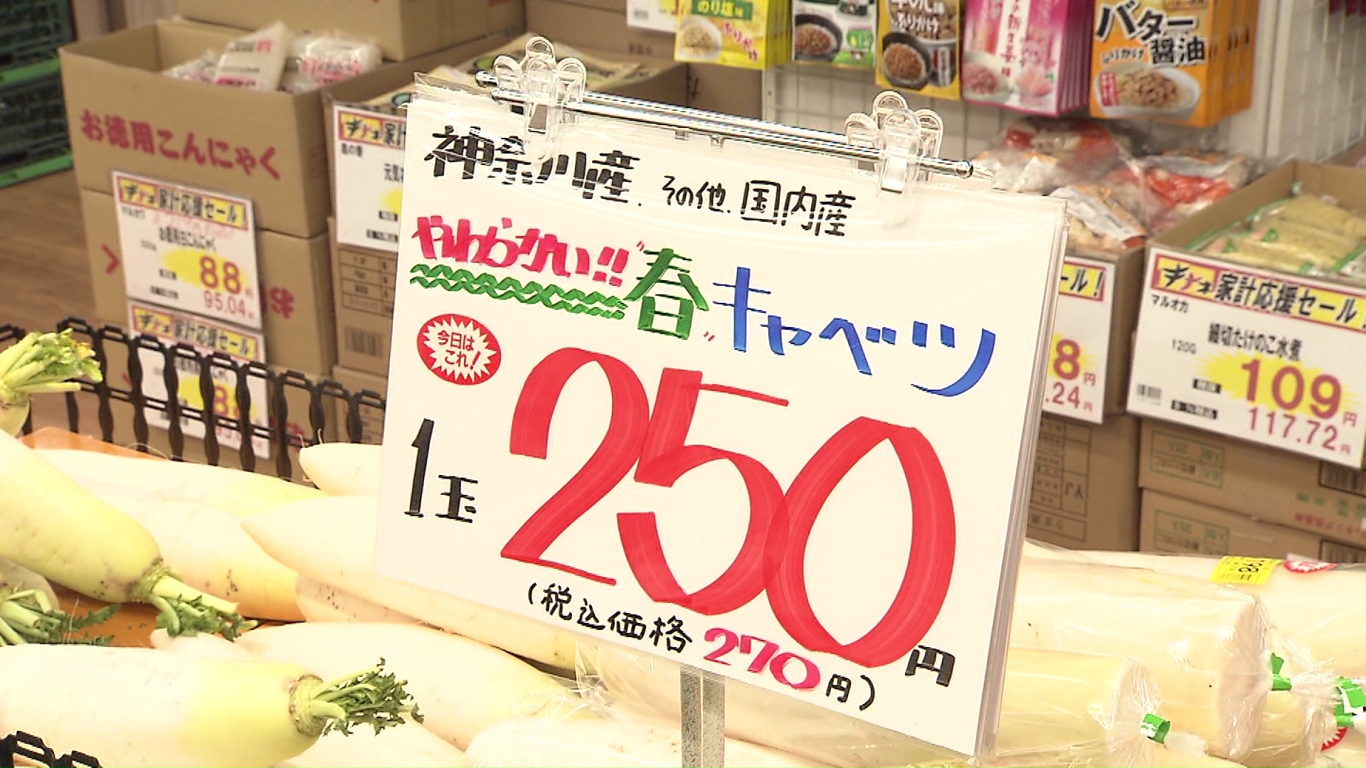 キャベツが税込みで270円(神奈川県産)