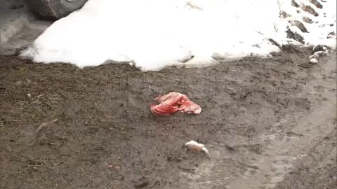 現場に残された血がついたタオル