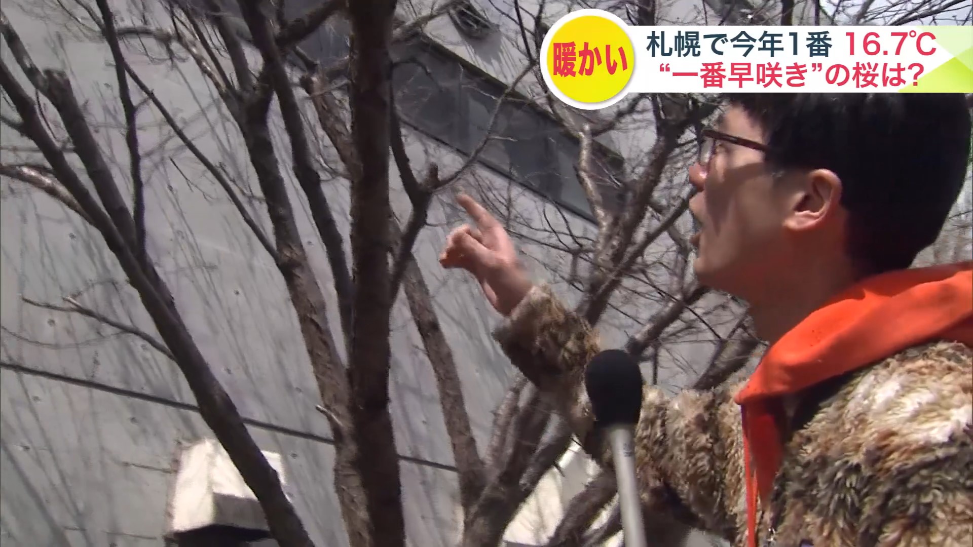 執念で花を探すと…