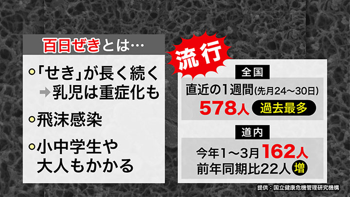 「せき」が長引く百日ぜき
