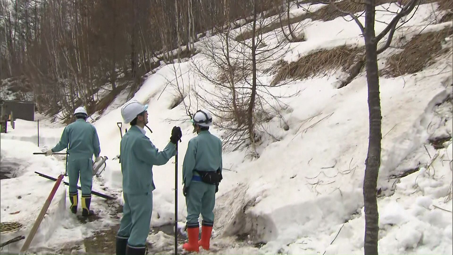 緊急で電気柵を設置