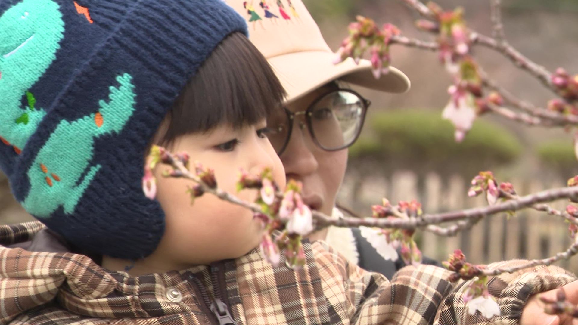 「桜を見たら春が来たって感じ」