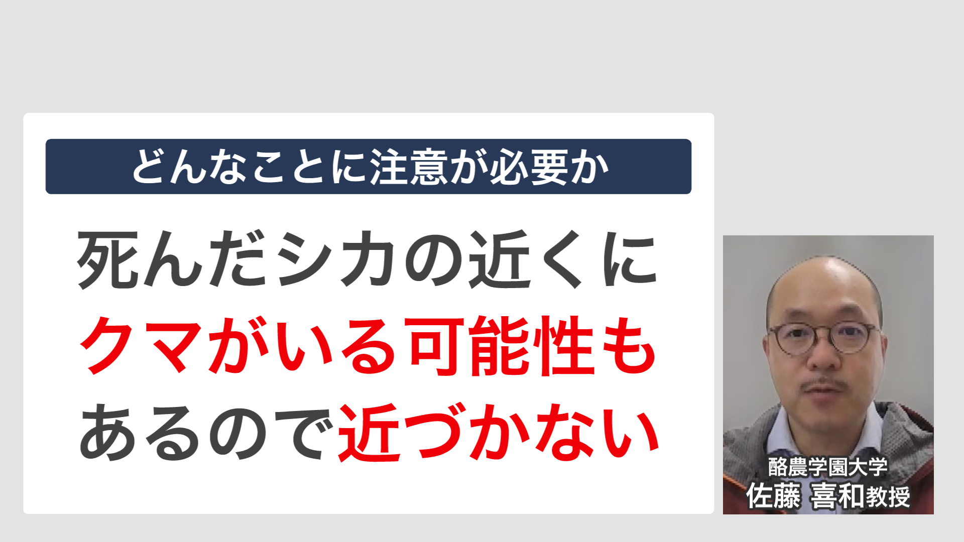 シカの死骸には「近づかない」ことも重要