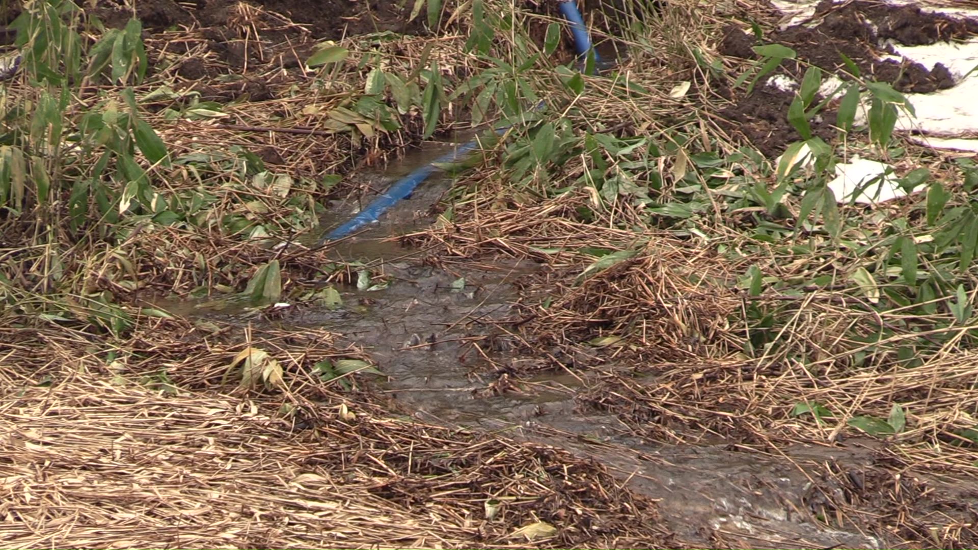ポンプで水を汲み上げる様子