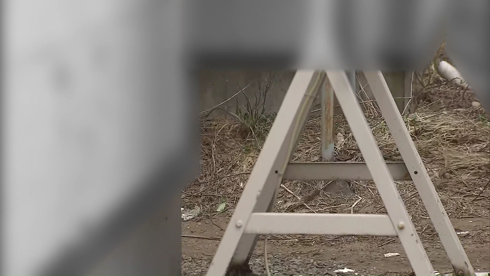 赤ちゃんの遺体が見つかった敷地内