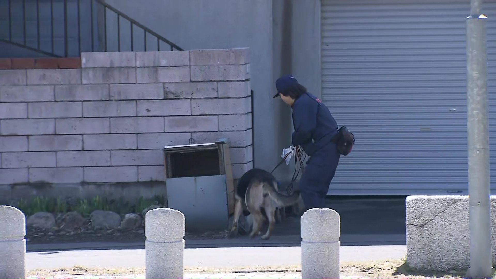 警察犬が出動