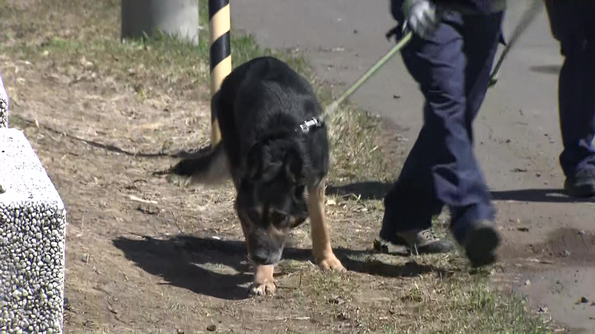 死体遺棄事件として捜査