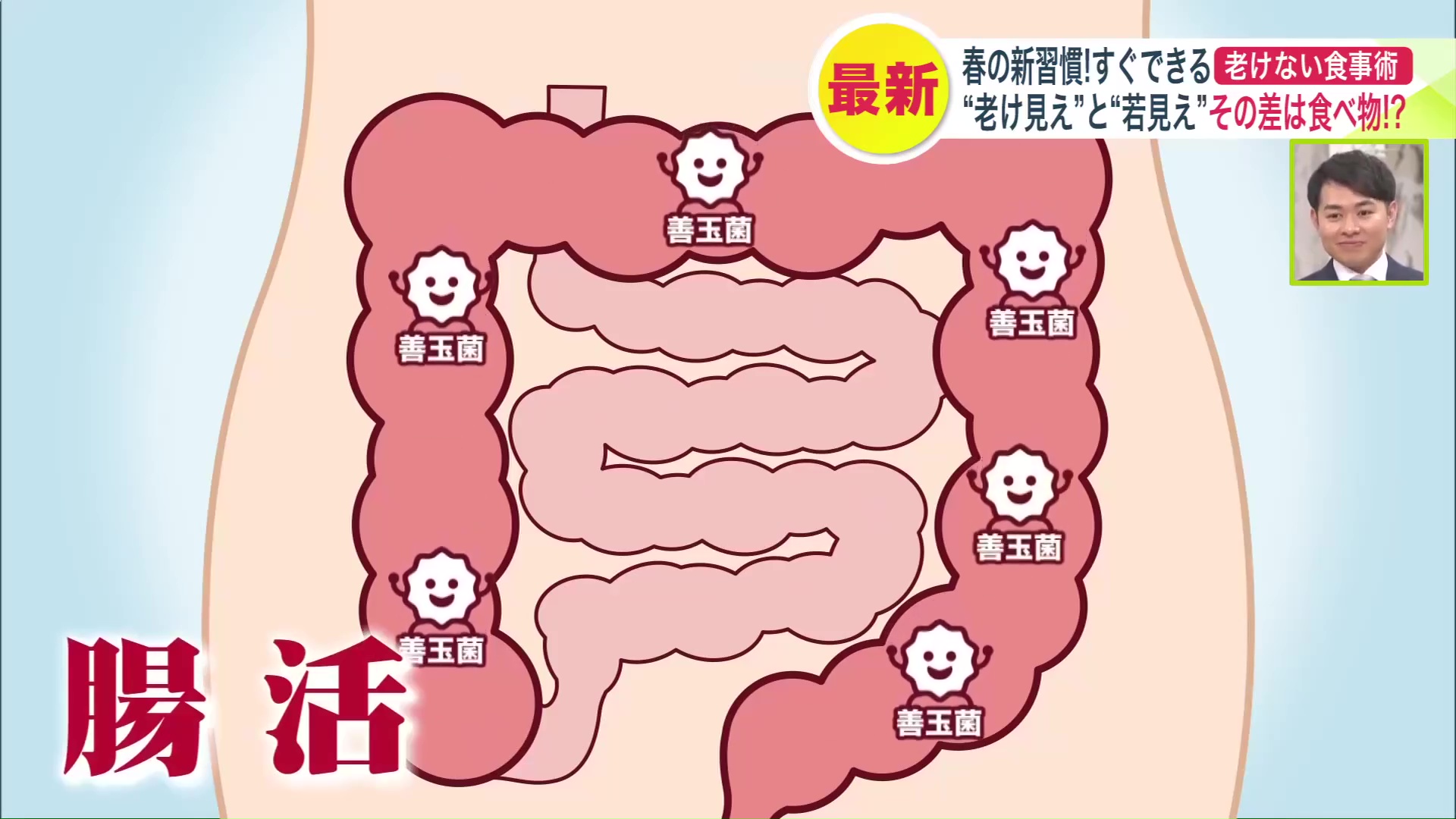 善玉菌の増加がもたらす美肌効果